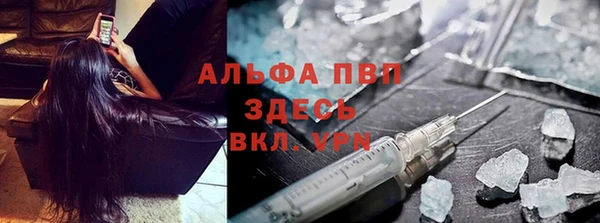 сатива Алзамай