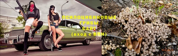 дурь Абинск