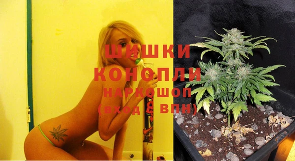 сатива Алзамай