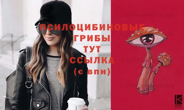 герыч Алексин