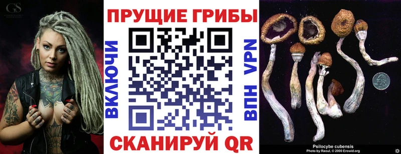 Галлюциногенные грибы прущие грибы купить цена darknet телеграм Николаевск-на-Амуре